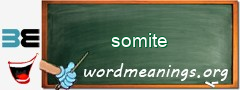 WordMeaning blackboard for somite